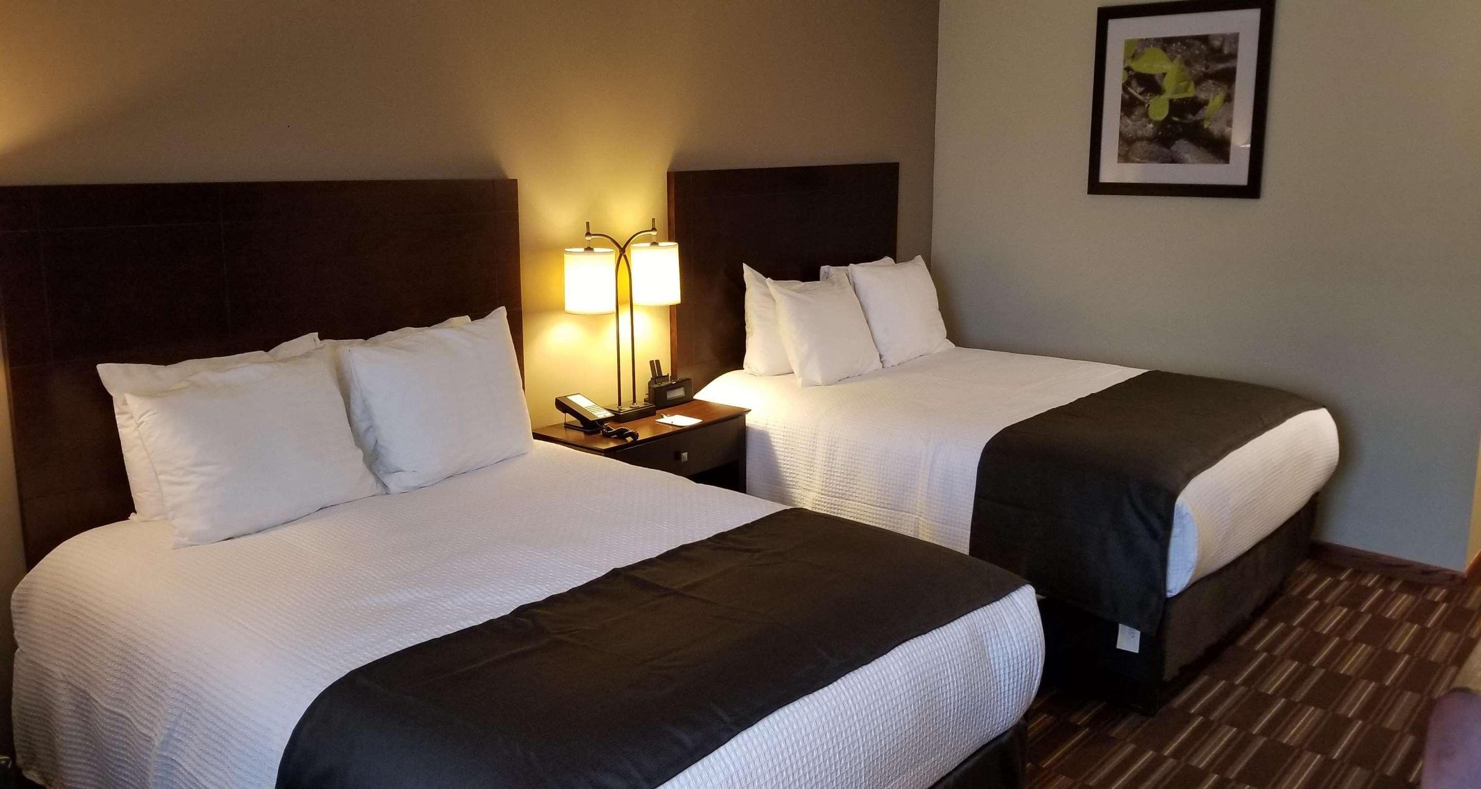 Best Western University Inn Urbana Bagian luar foto